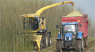 New Holland Celebrates 50 Years of Self-Propelled Harvesters