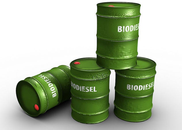 Biodiesel Drums