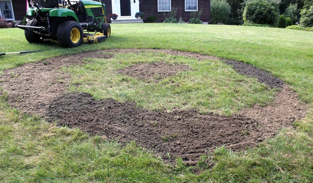 Filling Bare Spots with Soil