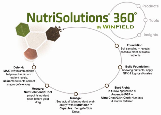 NutriSolutions Graphic