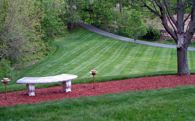 Lush Green Lawn