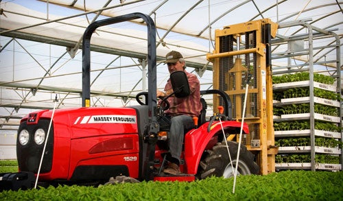 Massey Ferguson 1529 Compact Utility Tractor