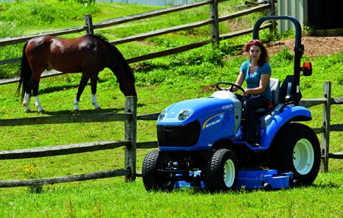 New Holland Boomer 25