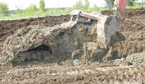 Case IH Steiger 485 Covered in Manure (RCMP Photo)